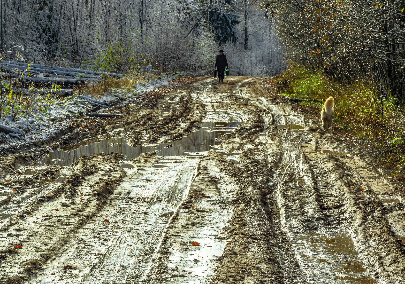 Valday, Novgorod region, Russia, Europe