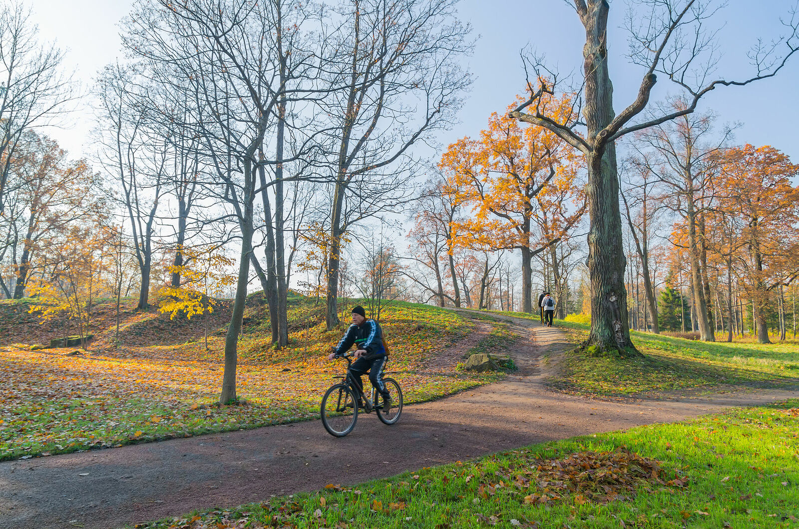 Russia, St. Petersburg, Pushkin, Alexander Park