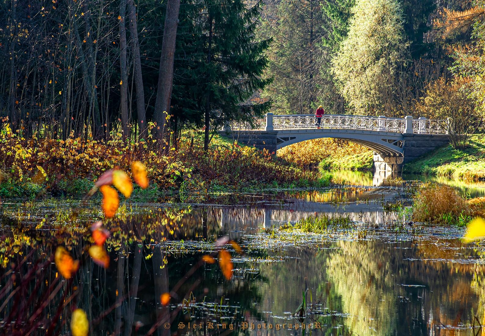 Russia, St. Petersburg, Pushkin, Alexander Park