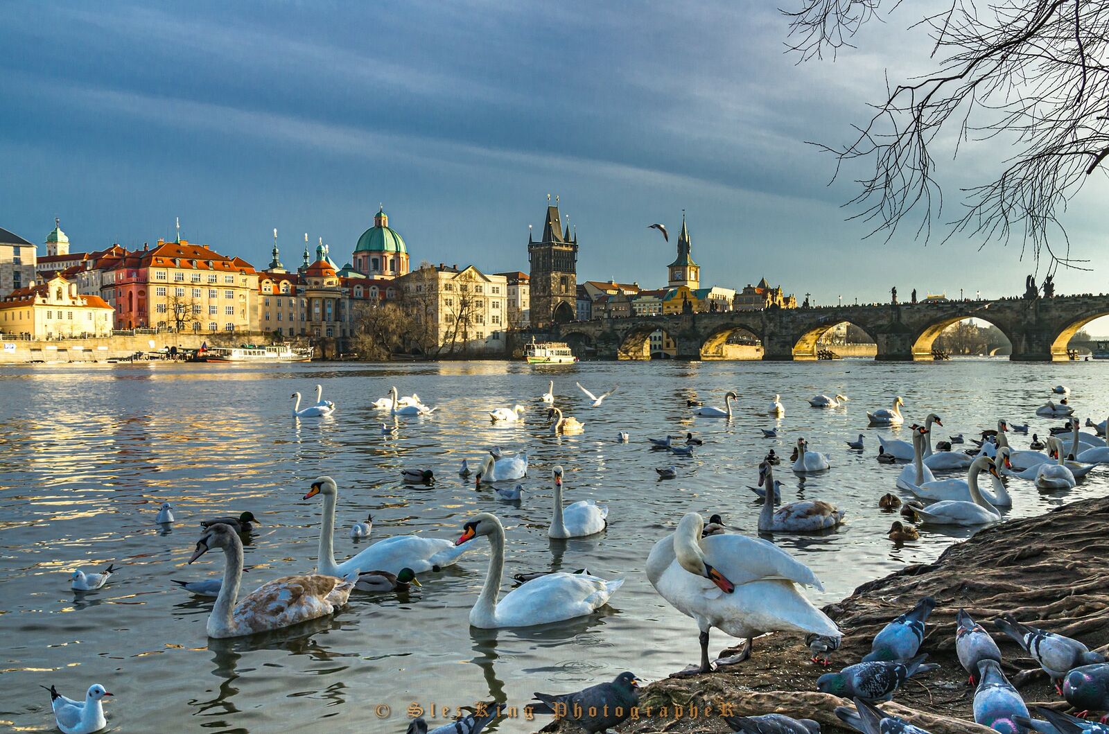 Karlův most. Prague. Czech Republic